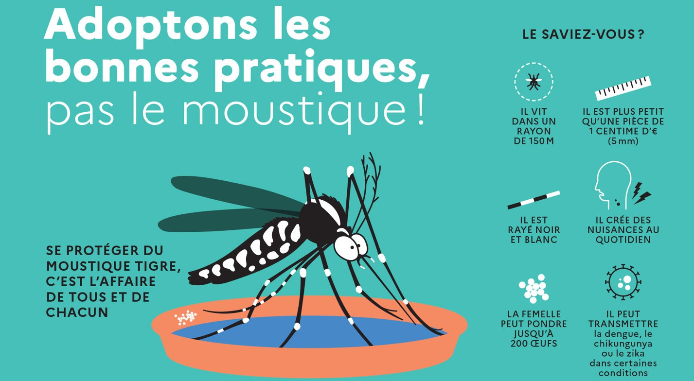 Lutte contre le moustique tigre